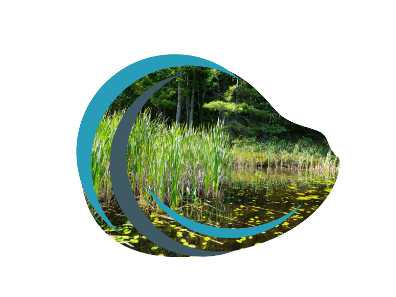 Downingtown Resilience Fund Wetland Studies